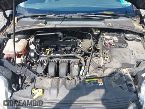 2013 Ford Focus SE with VIN 1FADP3F21DL180199, listed as a IAAI auction lot 42768802 with 125,095 mi miles and . Bid and sale history available at DreamBid. Image 10.