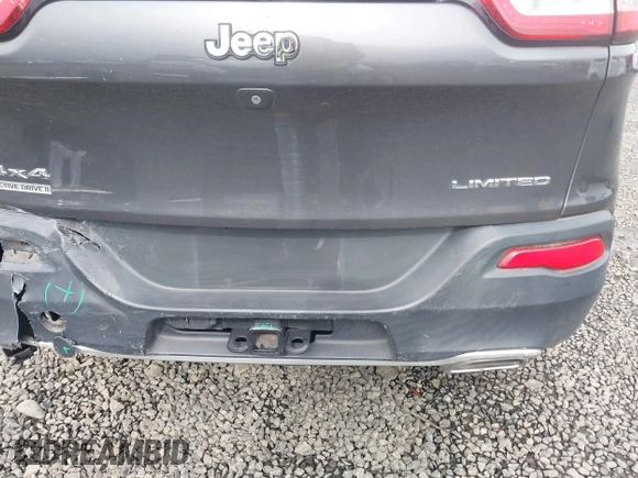 2015 Jeep Cherokee Limited with VIN 1C4PJMDS5FW550282, listed as a IAAI auction lot 41796297 with 96,374 mi miles and . Bid and sale history available at DreamBid. Image 19.
