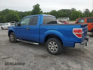 2009 Ford F-150 STX with VIN 1FTRX128X9FB21799, listed as a Copart auction lot 58263855 with 214,192 mi miles and Salvage title. Bid and sale history available at DreamBid. Image 2.
