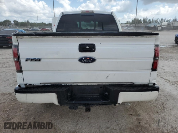 2010 Ford F-150 XL with VIN 1FTEX1CW2AFB47488, listed as a Copart auction lot 63038745 with Not provided miles and Clean title. Bid and sale history available at DreamBid. Image 6.