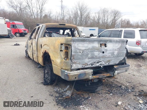 2010 Ford F-150 XL with VIN 1FTFX1EV1AFC15580, listed as a IAAI auction lot 41737979 with Not provided miles and . Bid and sale history available at DreamBid. Image 3.