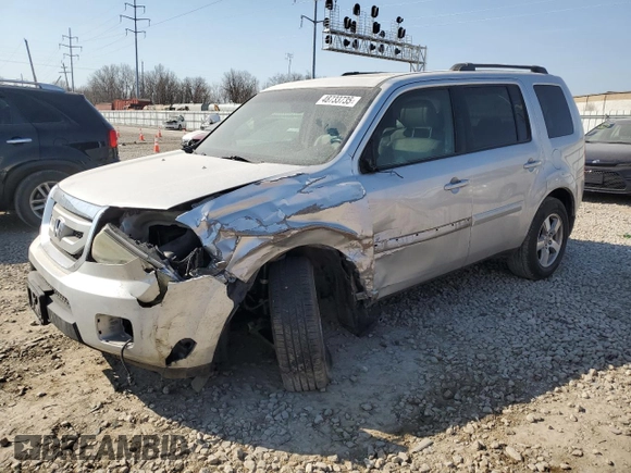2009 Honda Pilot EX-L with VIN 5FNYF48509B028694, listed as a Copart auction lot 48733735 with 0 mi miles and Salvage Title. Bid and sale history available at carsss.com. Image 1.