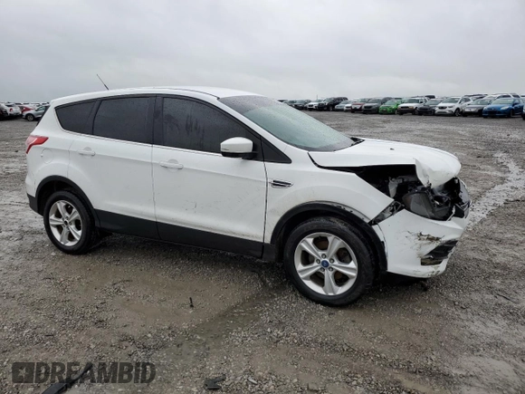 2013 Ford Escape SE with VIN 1FMCU9GX7DUA24721, listed as a Copart auction lot 54543385 with 203,036 mi miles and Salvage title. Bid and sale history available at DreamBid. Image 4.