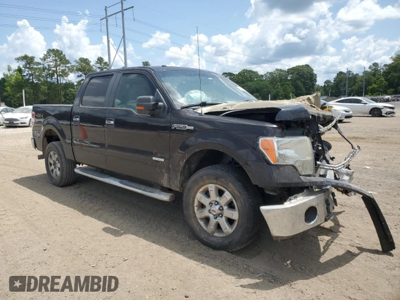 2013 Ford F-150 XL with VIN 1FTFW1ET6DKG18953, listed as a Copart auction lot 59873935 with Not provided miles and Salvage title. Bid and sale history available at DreamBid. Image 4.