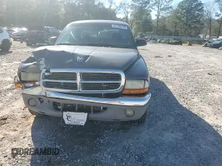 2003 Dodge Dakota SLT with VIN 1D7HL42X13S367631, listed as a Copart auction lot 47706795 with 202,616 mi miles and Salvage Title. Bid and sale history available at carsss.com. Image 10.