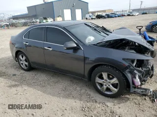 2011 Acura TSX with VIN JH4CU2F65BC004862, listed as a Copart auction lot 49914205 with 194,730 mi miles and Salvage Title. Bid and sale history available at carsss.com. Image 4.