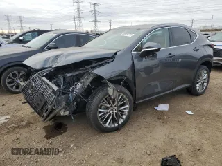 2025 Lexus NX with VIN 2T2GGCEZ9SC066036, listed as a Copart auction lot 80325774 with 1,018 mi miles and Salvage Title. Bid and sale history available at carsss.com. Image 1.