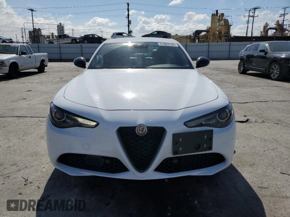 2020 Alfa Romeo Giulia with VIN ZARFAMAN6L7626100, listed as a Copart auction lot 51003135 with 41,991 mi miles and Salvage title. Bid and sale history available at DreamBid. Image 5.