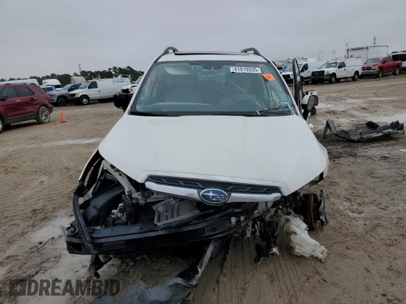 2017 Subaru Forester Premium with VIN JF2SJAGC6HH530998, listed as a Copart auction lot 41919335 with Not Provided miles and Salvage Title. Bid and sale history available at carsss.com. Image 5.