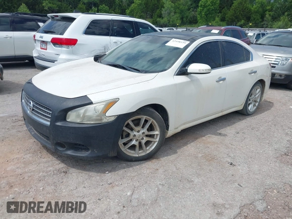 2011 Nissan Maxima SV with VIN 1N4AA5APXBC841261, listed as a IAAI auction lot 42498339 with 210,003 mi miles and . Bid and sale history available at DreamBid. Image 2.