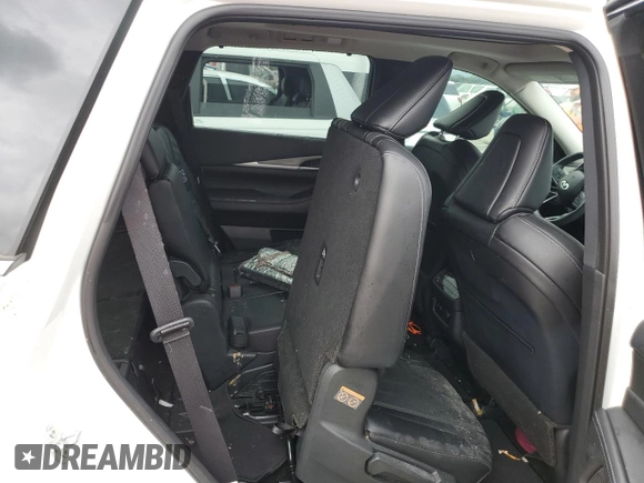 2024 Infiniti QX60 Luxe with VIN 5N1DL1FSXRC343025, listed as a Copart auction lot 74335204 with Not provided miles and Non repairable. Bid and sale history available at DreamBid. Image 11.
