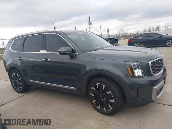 2023 Kia Telluride SX Prestige X-Pro with VIN 5XYP5DGC3PG329805, listed as a IAAI auction lot 41289569 with 44,380 mi miles and . Bid and sale history available at DreamBid. Image 13.