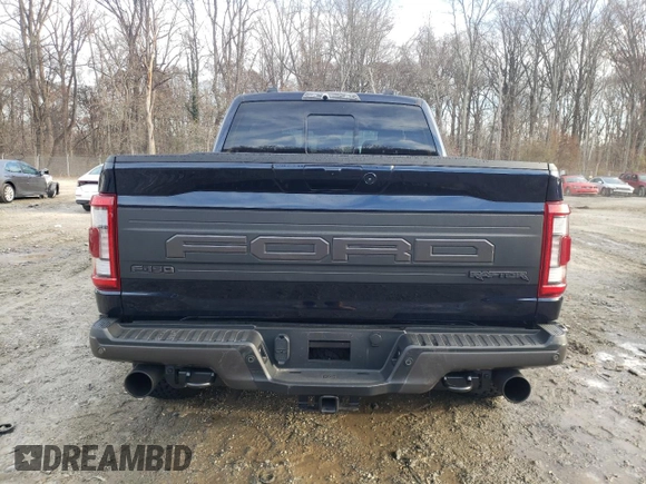 2022 Ford F-150 Raptor with VIN 1FTFW1RG0NFB46241, listed as a Copart auction lot 76933043 with Not Provided miles and Salvage Title. Bid and sale history available at carsss.com. Image 6.