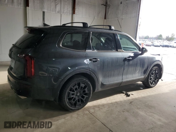 2022 Kia Telluride SX with VIN 5XYP5DHC9NG193935, listed as a Copart auction lot 46589285 with 85,217 mi miles and Salvage title. Bid and sale history available at DreamBid. Image 3.