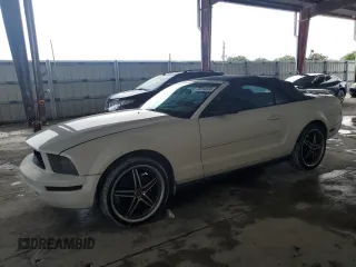 2006 Ford Mustang Standard with VIN 1ZVFT84N565202458, listed as a Copart auction lot 75310324 with 123,833 mi miles and Clean Title. Bid and sale history available at carsss.com. Image 1.