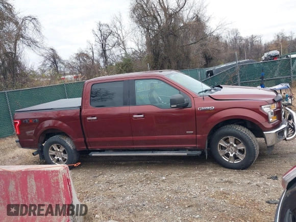 2017 Ford F-150 XL with VIN 1FTEW1EG9HFB75226, listed as a IAAI auction lot 41130292 with 125,205 mi miles. Bid and sale history available at carsss.com. Image 14.