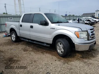 2009 Ford F-150 XL with VIN 1FTRW12859FA07325, listed as a Copart auction lot 59174215 with 242,328 mi miles and Salvage title. Bid and sale history available at DreamBid. Image 4.
