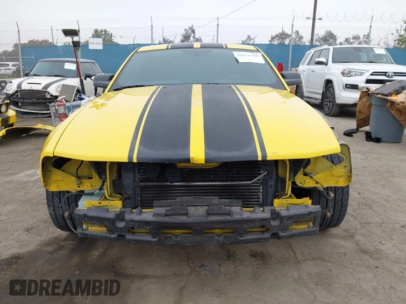 2006 Ford Mustang GT Deluxe with VIN 1ZVFT82H165206827, listed as a IAAI auction lot 42031340 with 256,919 mi miles. Bid and sale history available at carsss.com. Image 13.