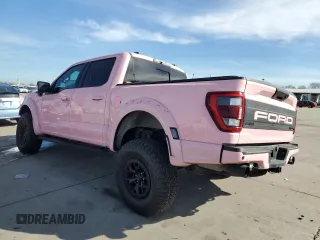 2023 Ford F-150 Raptor with VIN 1FTFW1RJ7PFA73609, listed as a Copart auction lot 45202695 with 22,974 mi miles and Salvage Title. Bid and sale history available at DreamBid. Image 2.