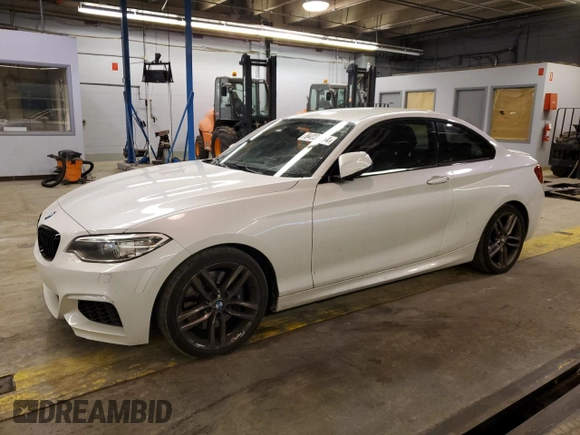 2015 BMW 2 Series 228i with VIN WBA1F5C53FV343580, listed as a Copart auction lot 84035754 with 63,537 mi miles and Salvage Title. Bid and sale history available at carsss.com. Image 1.
