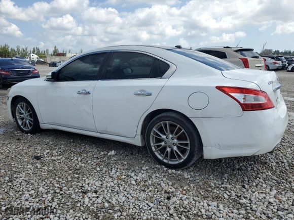 2012 Nissan Maxima 3.5 S with VIN 1N4AA5AP6CC830873, listed as a Copart auction lot 51308975 with 142,838 mi miles and Salvage Title. Bid and sale history available at carsss.com. Image 2.