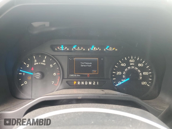 2016 Ford F-150 XL with VIN 1FTEX1CG8GFB55998, listed as a Copart auction lot 49838295 with 236,232 mi miles and Clean Title. Bid and sale history available at carsss.com. Image 9.