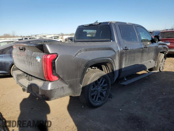 2023 Toyota Tundra Platinum with VIN 5TFNA5DB6PX102836, listed as a Copart auction lot 88541885 with 22,828 mi miles and Salvage title. Bid and sale history available at DreamBid. Image 3.