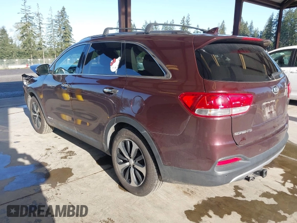 2016 Kia Sorento EX with VIN 5XYPHDA57GG181613, listed as a IAAI auction lot 42020545 with 173,439 mi miles. Bid and sale history available at carsss.com. Image 3.