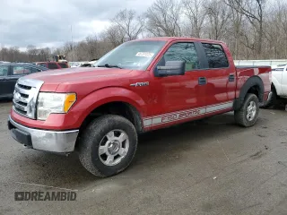 2009 Ford F-150 XL with VIN 1FTRW14829FB02387, listed as a Copart auction lot 46781225 with 288,257 mi miles and Clean Title. Bid and sale history available at carsss.com. Image 1.