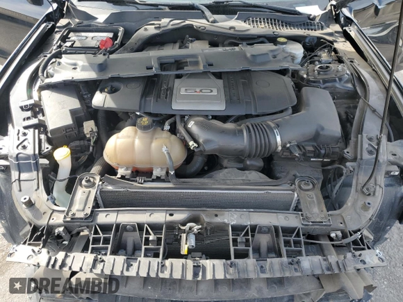 2019 Ford Mustang GT with VIN 1FA6P8CF1K5118865, listed as a Copart auction lot 47283645 with 41,916 mi miles and Salvage Title. Bid and sale history available at carsss.com. Image 12.