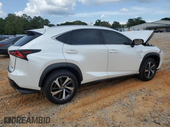 2019 Lexus NX 300 with VIN JTJYARBZ9K2150855, listed as a Copart auction lot 55296355 with Not provided miles and Salvage title. Bid and sale history available at DreamBid. Image 3.