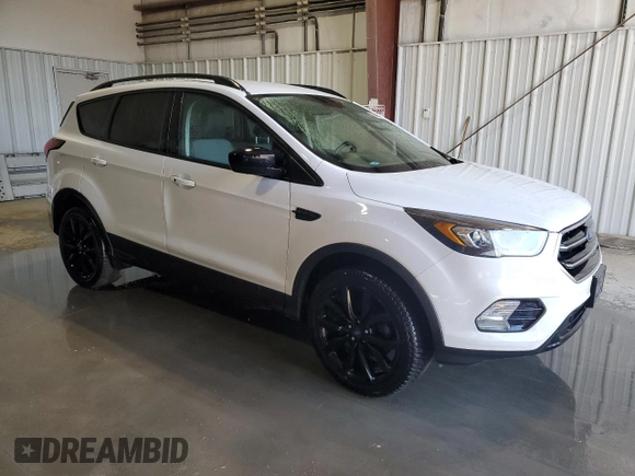 2019 Ford Escape SE with VIN 1FMCU0GD0KUA39530, listed as a Copart auction lot 49307355 with 103,396 mi miles and Clean Title. Bid and sale history available at carsss.com. Image 4.