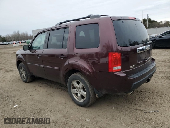 2011 Honda Pilot EX-L with VIN 5FNYF4H57BB501674, listed as a Copart auction lot 50829845 with 0 mi miles and Clean Title. Bid and sale history available at carsss.com. Image 2.