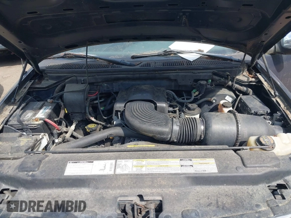1999 Ford F-150 with VIN 1FTRX17W8XNA20352, listed as a IAAI auction lot 42485616 with 208,142 mi miles and . Bid and sale history available at DreamBid. Image 10.