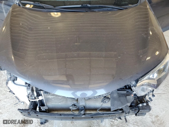 2016 Toyota RAV4 XLE with VIN 2T3RFREV5GW450084, listed as a Copart auction lot 48234635 with 123,008 mi miles and Salvage Title. Bid and sale history available at carsss.com. Image 14.