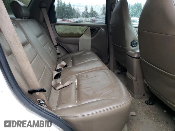 2001 Ford Escape XLT with VIN 1FMYU04181KC55393, listed as a Copart auction lot 76321074 with 223,327 mi miles and Salvage Title. Bid and sale history available at carsss.com. Image 11.