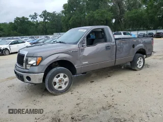 2011 Ford F-150 XL with VIN 1FTNF1CT3BKE21170, listed as a Copart auction lot 56555365 with 207,119 mi miles and Salvage title. Bid and sale history available at DreamBid. Image 1.