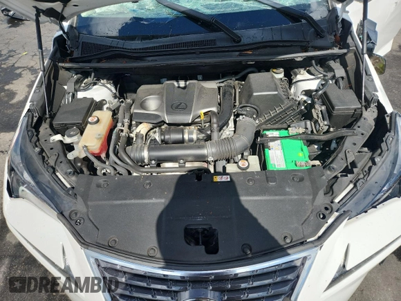 2020 Lexus NX 300 with VIN JTJDARBZ5L5000367, listed as a Copart auction lot 61573165 with 55,401 mi miles and Non repairable. Bid and sale history available at DreamBid. Image 11.