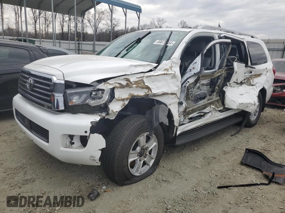 2019 Toyota Sequoia SR5 with VIN 5TDBY5G1XKS174171, listed as a Copart auction lot 40679254 with 67,132 mi miles. Bid and sale history available at carsss.com. Image 1.