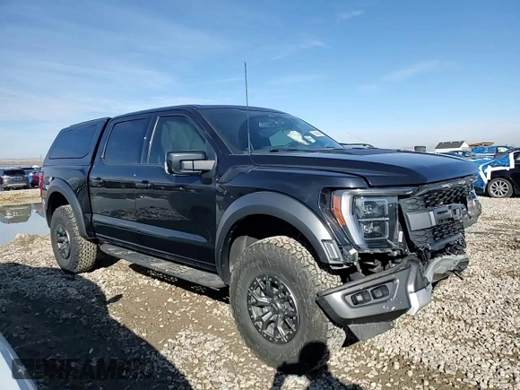 2022 Ford F-150 Raptor with VIN 1FTFW1RG5NFC08605, listed as a Copart auction lot 46548345 with 104,641 mi miles and Salvage Title. Bid and sale history available at carsss.com. Image 10.