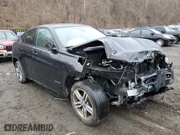 2017 BMW X6 xDrive35i with VIN 5UXKU2C31H0U29480, listed as a Copart auction lot 43853993 with 45,466 mi miles. Bid and sale history available at carsss.com. Image 4.