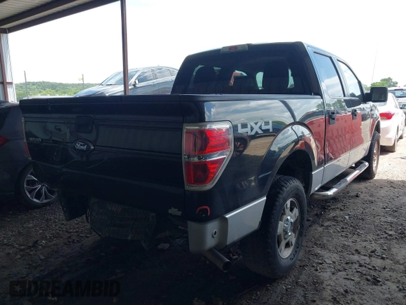 2010 Ford F-150 XL with VIN 1FTEW1E82AFD87433, listed as a IAAI auction lot 42595343 with 159,229 mi miles and . Bid and sale history available at DreamBid. Image 4.