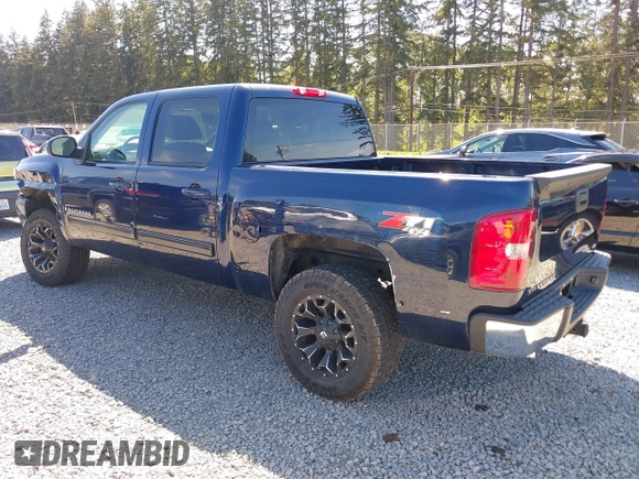 2009 Chevrolet Silverado 1500 with VIN 2GCEK33M391136270, listed as a IAAI auction lot 42149311 with 143,094 mi miles and . Bid and sale history available at DreamBid. Image 3.