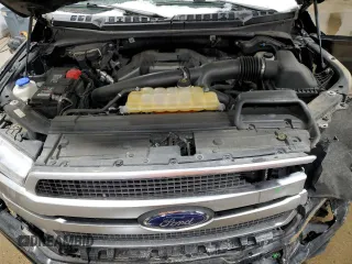 2019 Ford F-150 XL with VIN 1FTEW1E49KFA35982, listed as a Copart auction lot 42703425 with 49,189 mi miles and Salvage Title. Bid and sale history available at carsss.com. Image 11.