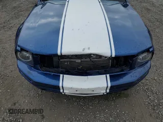 2008 Ford Mustang Deluxe with VIN 1ZVHT80N185182565, listed as a Copart auction lot 61276625 with 172,421 mi miles and Salvage title. Bid and sale history available at DreamBid. Image 11.