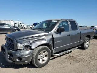 2002 Dodge 1500 z VIN 1D7HA18N22J137966, wystawiony jako Copart lot #48812685 z przebiegiem 146 984 mil mil oraz Szkoda całkowita • Salvage title. Historia ofert i sprzedaży dostępna na DreamBid. Obrazek 1.
