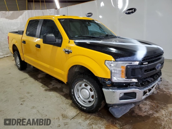 2019 Ford F-150 XL with VIN 1FTEW1C57KKD92001, listed as a Copart auction lot 44799065 with 125,998 mi miles and Salvage Title. Bid and sale history available at DreamBid. Image 4.