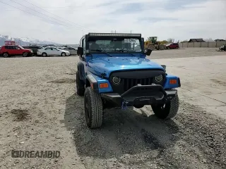 2002 Jeep Wrangler Sport with VIN 1J4FA49S32P762794, listed as a Copart auction lot 52132955 with 243,499 mi miles and Salvage Title. Bid and sale history available at carsss.com. Image 11.