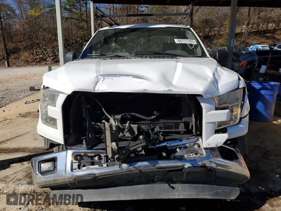 2016 Ford F-150 XL with VIN 1FTMF1CP0GKD36633, listed as a Copart auction lot 88722485 with 245,180 mi miles and Salvage Title. Bid and sale history available at carsss.com. Image 5.