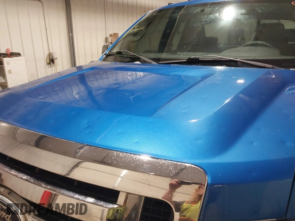 2009 Ford F-150 STX with VIN 1FTRX14869KB22548, listed as a IAAI auction lot 41470822 with 131,158 mi miles and . Bid and sale history available at DreamBid. Image 6.